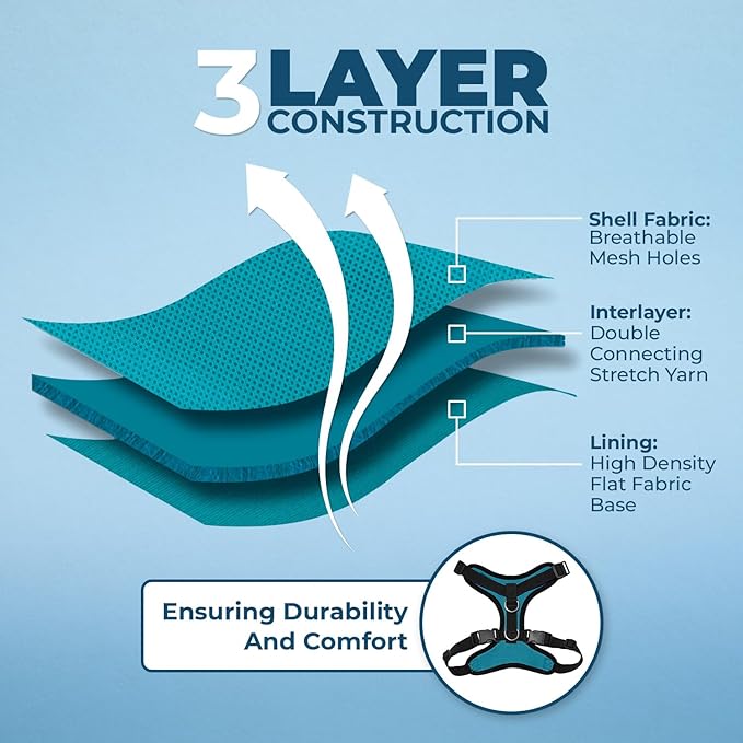 Voyager Step-in Lock Dog Harness w Reflective Dog Leash Combo Set with Neoprene Handle 5ft - Supports Small, Medium and Large Breed Puppies/Cats by Best Pet Supplies - Turquoise/Black Trim, XS