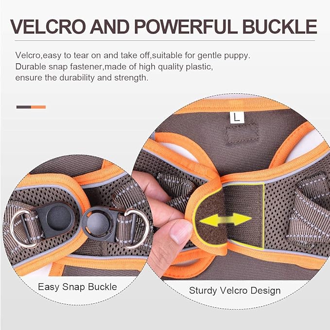 Soft Mesh Dog Harness and Leash Set, Step-in Reflective Breathable Comfort Padded Quick Dry Pet Puppy Vest Harness for Extra-Small/Small Medium Dogs and Cats (Brown, XXS)
