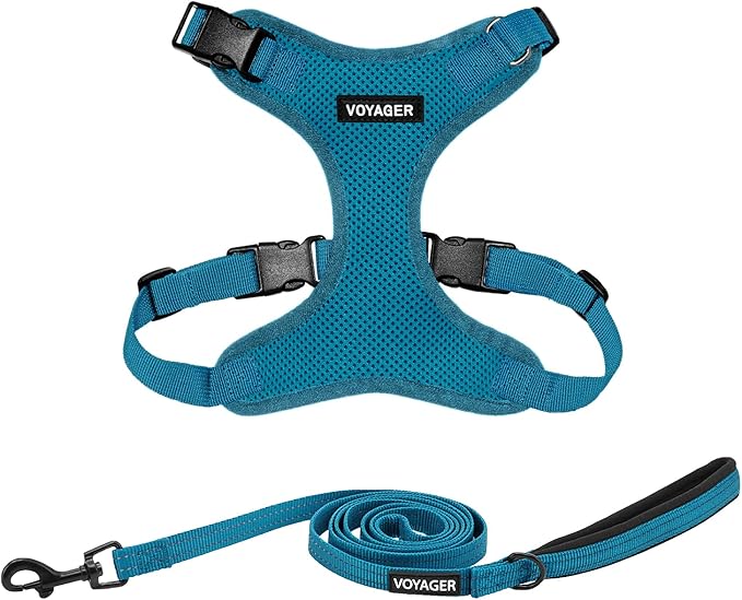 Voyager Step-in Lock Dog Harness w Reflective Dog Leash Combo Set with Neoprene Handle 5ft - Supports Small, Medium and Large Breed Puppies/Cats by Best Pet Supplies - Turquoise, M