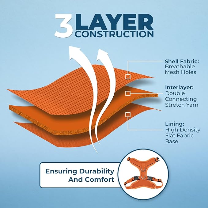 Voyager Escape Proof Cat Harness and Leash Set with Reflective Stitching, Neoprene Handle 5ft - Supports Small, Medium and Large Cats, Kittens for Walking by Best Pet Supplies - Orange, XXS