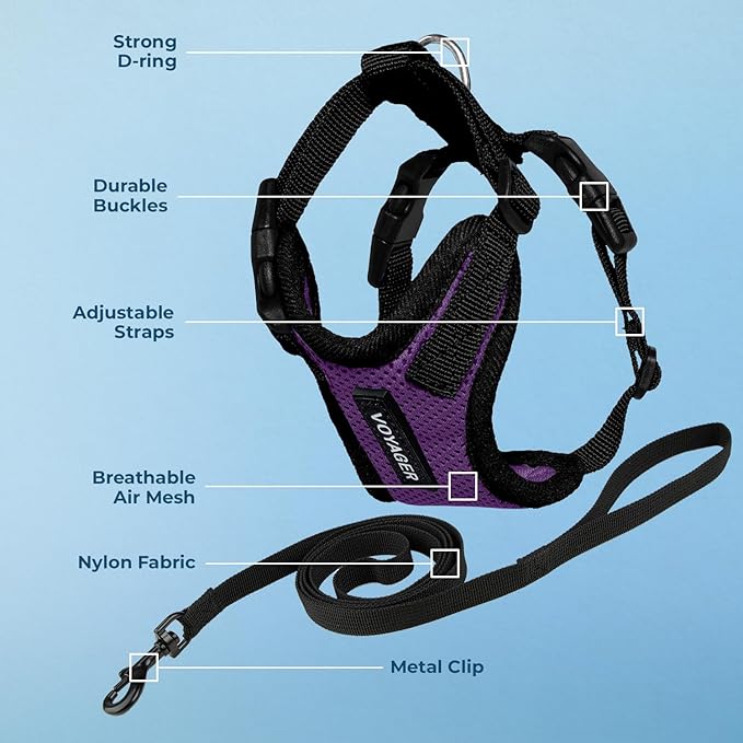 Voyager Step-in Lock Adjustable Cat Harness w. Cat Leash Combo Set with Neoprene Handle 5ft - Supports Small, Medium and Large Breed Cats by Best Pet Supplies - Purple/Black Trim, XS