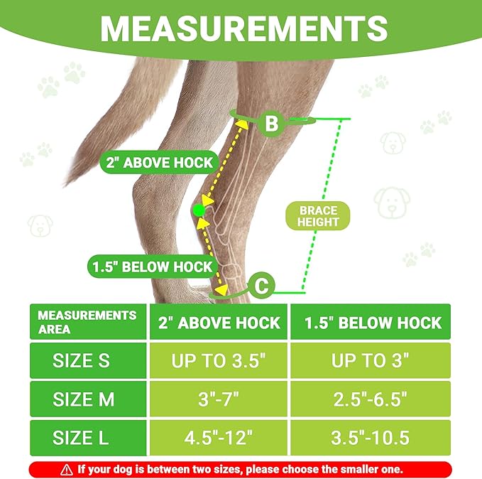 2PCS Dog Braces for Back Leg for Support. Dog Arthritis Brace. Hind Leg Support for Dogs. Leg Brace for Dogs Back Leg. Dog Leg Brace. Dog Back Leg Support Brace. Dog Hock Brace Rear Leg (L)