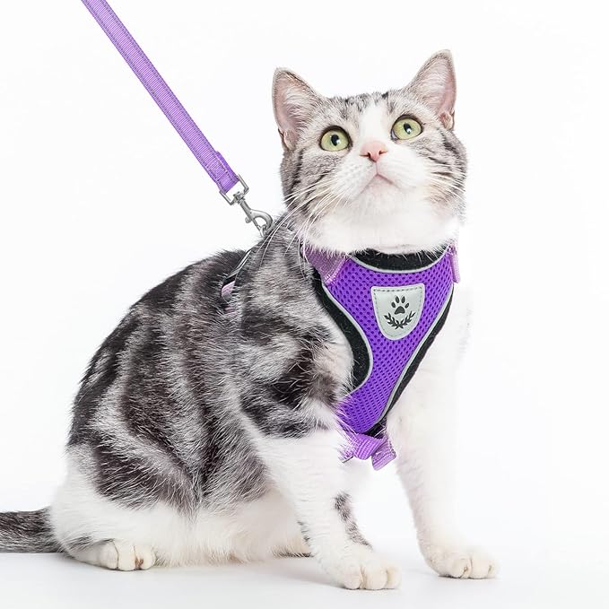 PUPTECK Cat Harness and Leash Set Escape Proof Reflective Cat Walking Harness Adjustable Soft Breathable Mesh Vest for Small Pets, Purple, M