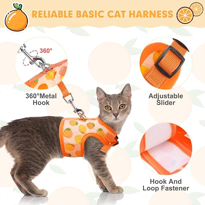 BINGPET Cat Harness with Leash Escape Proof - Fashionable Mesh Cat Dog Walking Harness Leads, Adjustable for Kitties Puppies Small Animals, Large