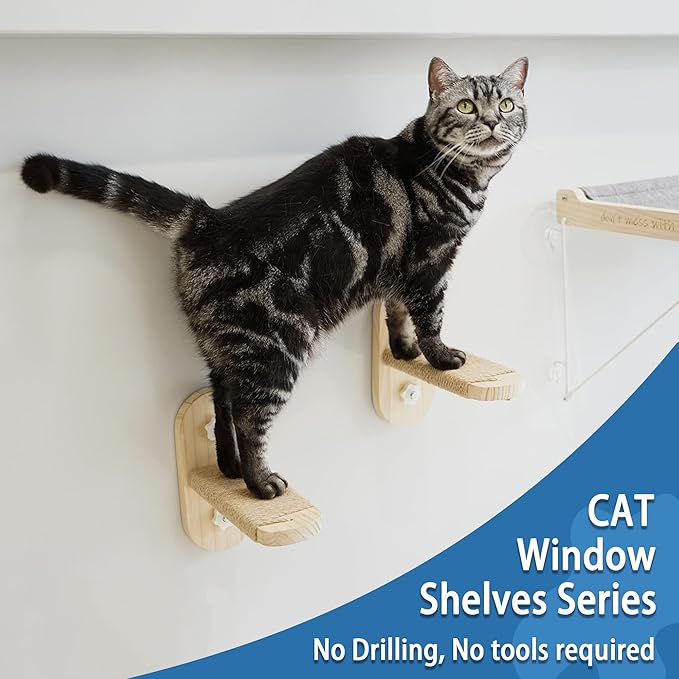 PETKARAY Cat Window Perch, Original Cat Hammock for Window, Foldable Cat Bed for Window Sill, Indoor Window Shelf Hammock Seat with Extra Suction Cups