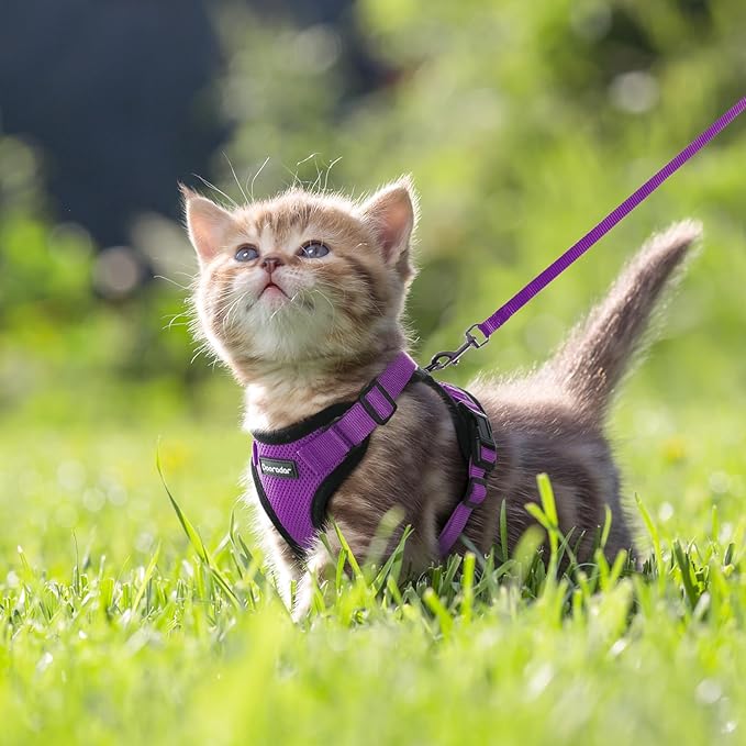 Dooradar Cat Harness and Leash Set, Escape Proof Safe Adjustable Kitten Vest Harnesses for Walking, Easy Control Soft Breathable Mesh Jacket with Reflective Strips for Cats, Purple, XXS