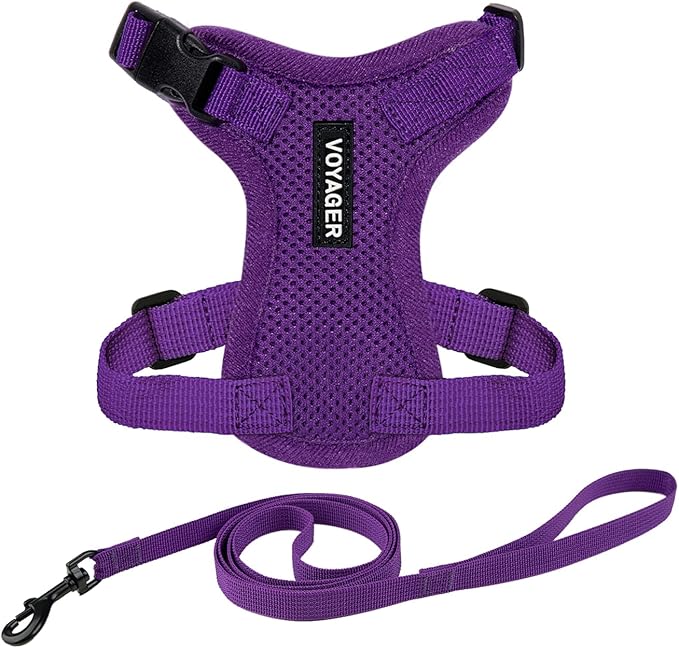 Voyager Step-in Lock Adjustable Cat Harness w. Cat Leash Combo Set with Neoprene Handle 5ft - Supports Small, Medium and Large Breed Cats by Best Pet Supplies - Purple, XXXS
