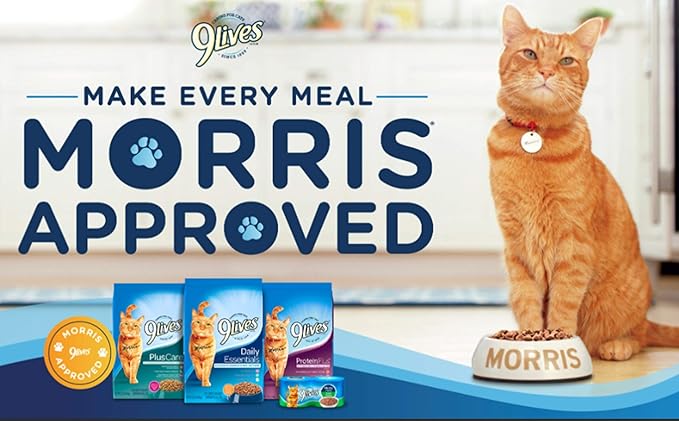 9Lives Plus Care Dry Cat Food, 3.15 lb. Bag, 4 Count