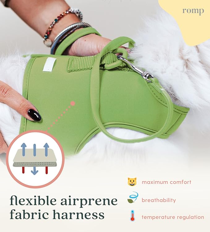 Cat Harness, Collar & Leash Set - Escape Proof Adjustable Choke Free Velcro Harness Vest for Walking Cats & Kittens (Matcha Green, Small)