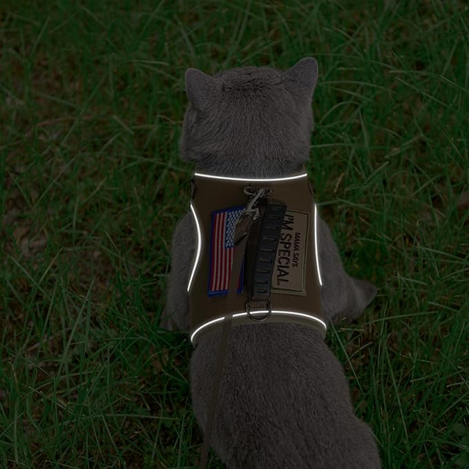 PUPTECK Soft Mesh Cat Vest Harness and Leash Set Puppy Padded Pet Harnesses Escape Proof for Cats Small Dogs Rabbits Bunny, Tactical Yellow, L