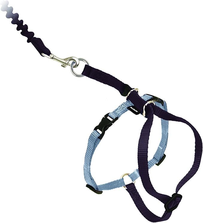 PetSafe Come with Me Kitty Harness and Bungee Leash, Large, Black