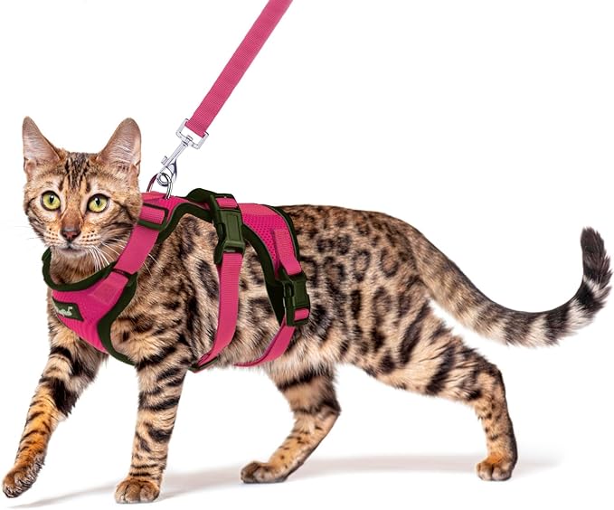 PUPTECK Cat Harness and Leash Set Escape Proof for Walking, Breathable Mash Vest Adjustable Harness for Cats Puppy Small Animals, Reflective at Night, Fuschia Medium
