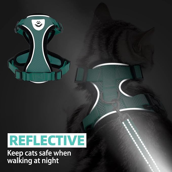 PUPTECK Cat Harness and Leash Set Escape Proof Reflective Cat Walking Harness Adjustable Soft Breathable Mesh Vest for Small Pets, Aquamarine, L