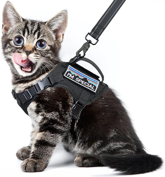 Tactical Cat Harness for Walking, Adjustable Escape Proof Pet Vest for Large Cat,Easy Control Breathable Cat Vest with Handle，Molle Patches (Black, L)