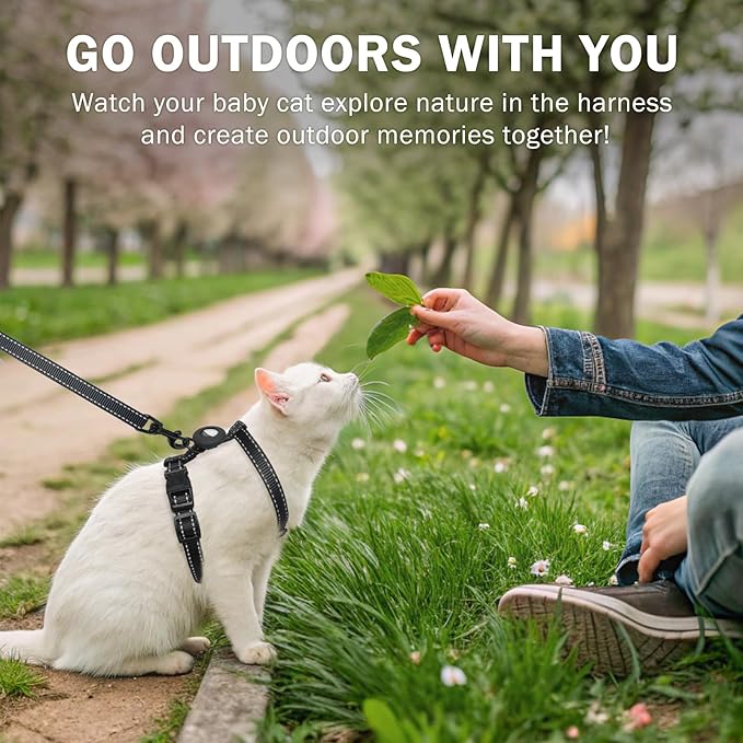 SCENEREAL Cat Harness and Leash Set Escape Proof with Airtag Holder, Reflective Pet Harnesses for Walking, Adjustable Kitty Vest Soft Harness Outdoor Indoor, Cute Travel Boys Girls Small Large Cats