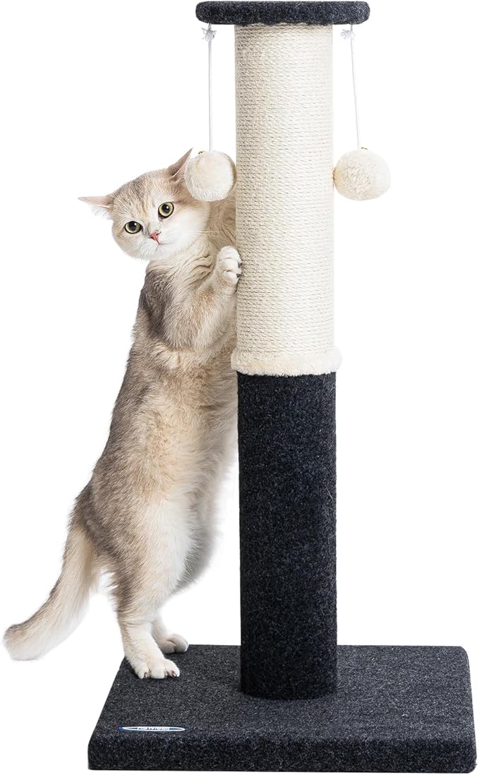 34-Inch Tall Cat Scratching Post for Indoor Cats, Large Carpet Scratch Post, Sisal Cat Scratcher, Sturdy and Durable Cat Post with Hanging Ball