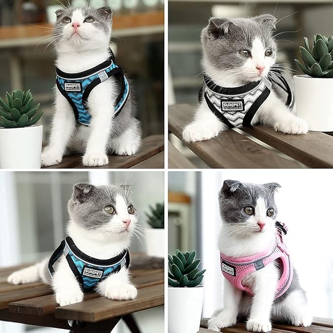 Soft Mesh Dog Harness and Leash Set, Step-in Reflective Breathable Comfort Padded Quick Dry Pet Puppy Vest Harness for Extra-Small/Small Medium Dogs and Cats (Blue, XXS)