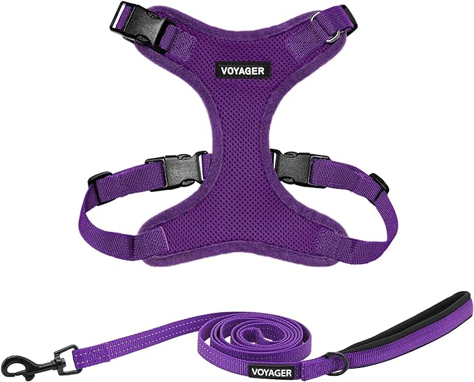 Voyager Step-in Lock Dog Harness w Reflective Dog Leash Combo Set with Neoprene Handle 5ft - Supports Small, Medium and Large Breed Puppies/Cats by Best Pet Supplies - Purple, S