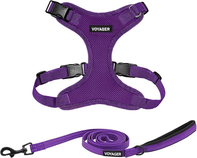 Voyager Step-in Lock Dog Harness w Reflective Dog Leash Combo Set with Neoprene Handle 5ft - Supports Small, Medium and Large Breed Puppies/Cats by Best Pet Supplies - Purple, XS
