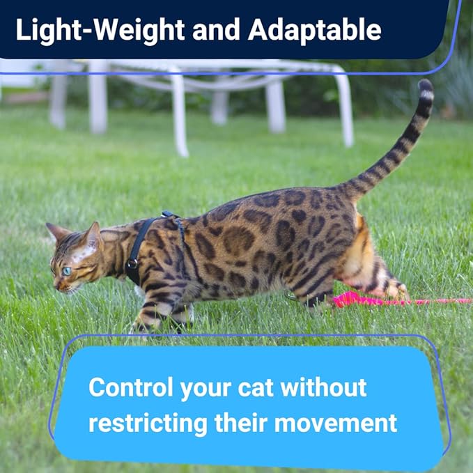 Houdini™ Escape Proof Cat Harness and Leash Set by OutdoorBengal for Walking Cats and Kittens (Leather, Kitten)
