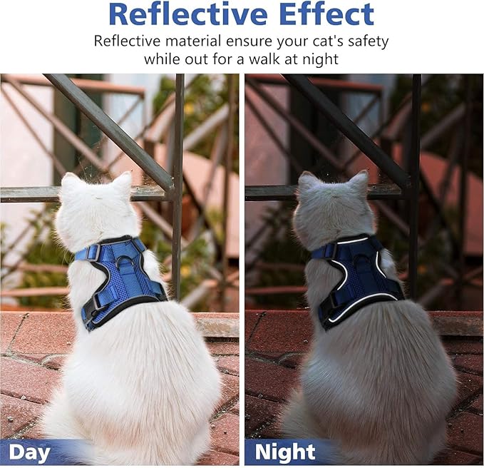 Dooradar Cat Harness and Leash Set, Escape Proof Safe Adjustable Kitten Vest Harnesses for Walking, Easy Control Soft Breathable Mesh Jacket with Reflective Strips for Cats, Blue, XS