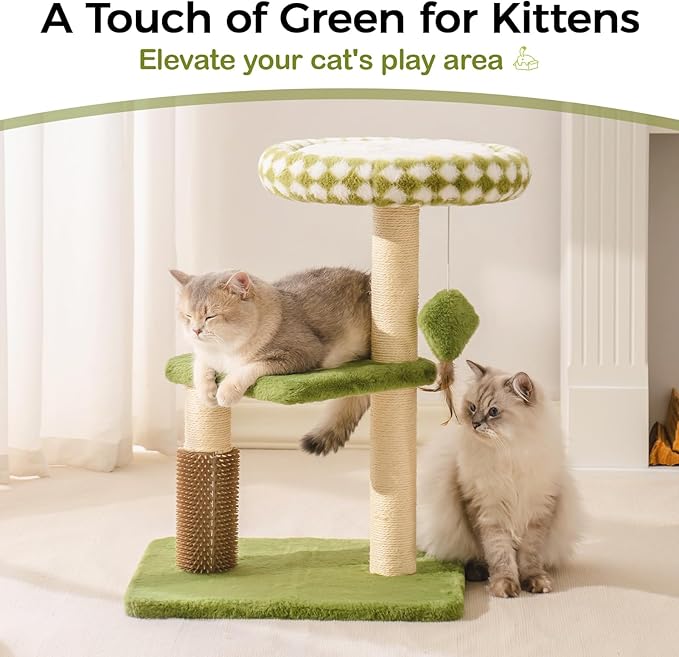 Mewoo Small Cat Tree Tower, Cat Tower with Scratching Post, Cat Trees with Removable Cat Perch for Indoor Cats Large Adult, Cute Cat Tree with Interactive Cat Toys for Kittens (Green, Large)