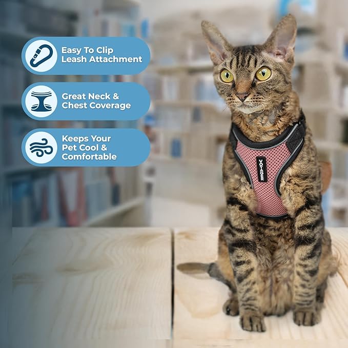 Voyager Escape Proof Cat Harness and Leash Set with Reflective Stitching, Neoprene Handle 5ft - Supports Small, Medium and Large Cats, Kittens for Walking by Best Pet Supplies - Black Trim-Pink, XS