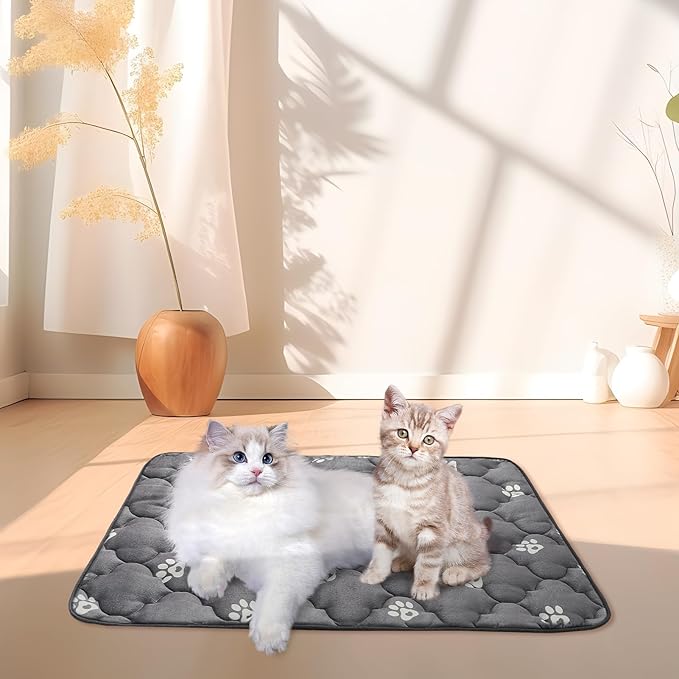 BINGPET 2 Pcs Self Warming Cat Bed for Indoor/Outdoor Cats,Warm Thermal Self Heating Cat Mat Dog Crate Pad with Anti-Slip Bottom Washable,Cozy Cat Dog Pet Heating Pad Blanket for Kitten Puppy 23"×35"