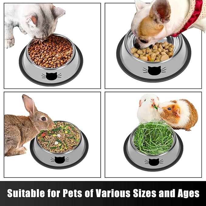 2Pcs Cat Bowls Non-Slip Stainless Steel Small Cat Food Bowls Unbreakable Thicken Cat Feeder 7 Oz Cat Dishes Suitable for Indoor Small Pets Removable Rubber Base Easily Clean Lovely Color