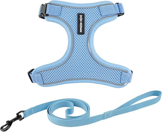 Voyager Escape Proof Cat Harness and Leash Set with Reflective Stitching, Neoprene Handle 5ft - Supports Small, Medium and Large Cats, Kittens for Walking by Best Pet Supplies - Baby Blue, XXXS