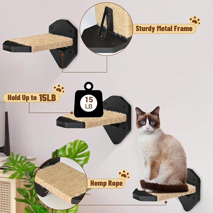 Cat Wall Furniture Wall Mounted, 2PCS Cat Shelves and Cat Perches for Wall with 3 Cat Wall Steps and Scratching Pad, Cat Wall Shelves Fit Cat Up to 15Lbs, Wood Cat Hammock Wall Mount (Black)