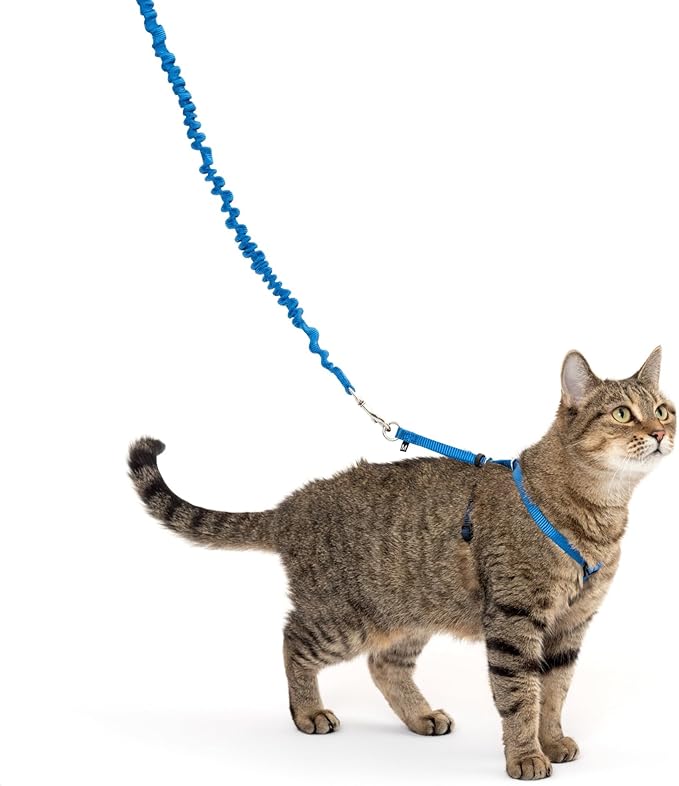 PetSafe Come with Me Kitty Harness and Bungee Leash, Small, Royal Blue