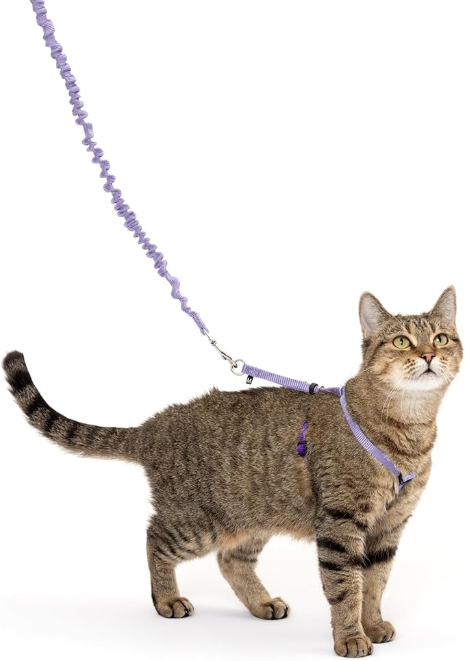 PetSafe Come with Me Kitty Harness and Bungee Leash, Small, Lilac