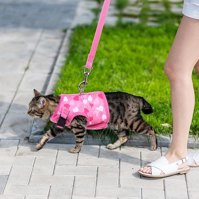 BINGPET Cat Harness and Leash Set Escape Proof for Walking,Step-in Harness with Lightweight Soft Breathable Mesh,Adjustable Easy Control Harness for Kitten Puppy Small Medium Large Cats(Heart,L)