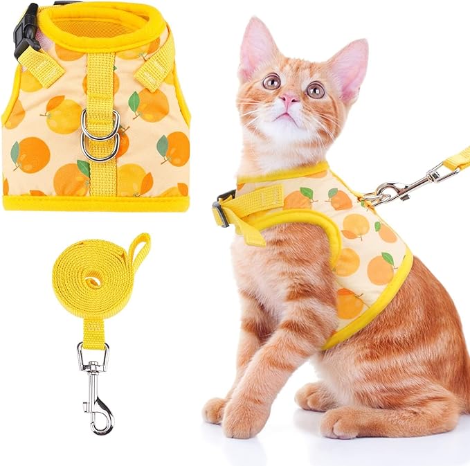 BINGPET Cat Harness with Leash Escape Proof - Fashionable Mesh Cat Dog Walking Harness Leads, Adjustable for Kitties Puppies Small Animals,Orange,M