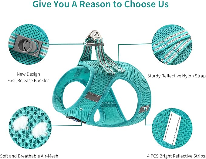 Cat Harness Leash Walking Escape Proof, Adjustable Mesh Comfortable Vest Harnesses Cats, Reflective Easy to Put on Step-in Velcro Jacket, Turquoise (Matching Trim), M (Chest: 14 -15.5inch)