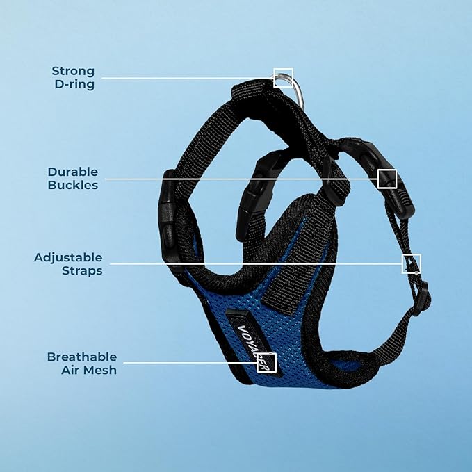 Voyager Step-in Lock Pet Harness - All Weather Mesh, Adjustable Step in Harness for Cats and Dogs by Best Pet Supplies - Royal Blue/Black Trim, XS