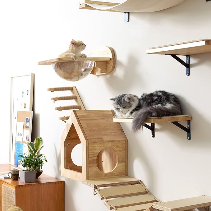 FUKUMARU Cat Wall Furniture Set, Transparent Capsule Cat Wall Shelves with 2 PCS Pedals - Premium Kitty Bed for Sleeping, Playing, Climbing, and Lounging - Easily Holds Up to 35 Lbs