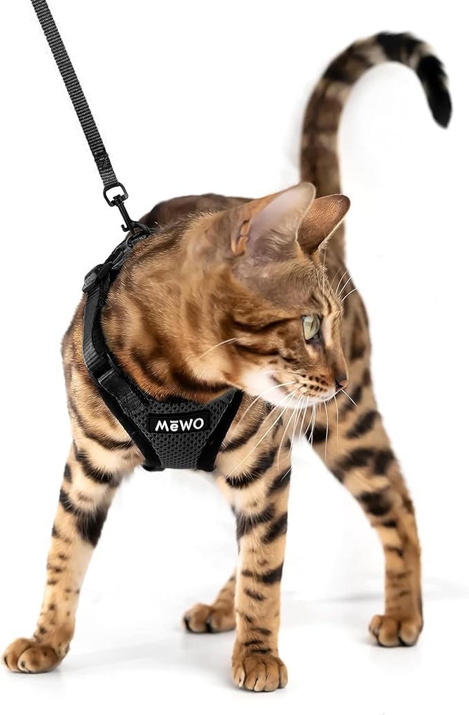 MEWO Cat Harness and Leash Set - Escape Proof, Reflective & Adjustable for a Safe & Snug Fit, Cat Walking Harness and Leash
