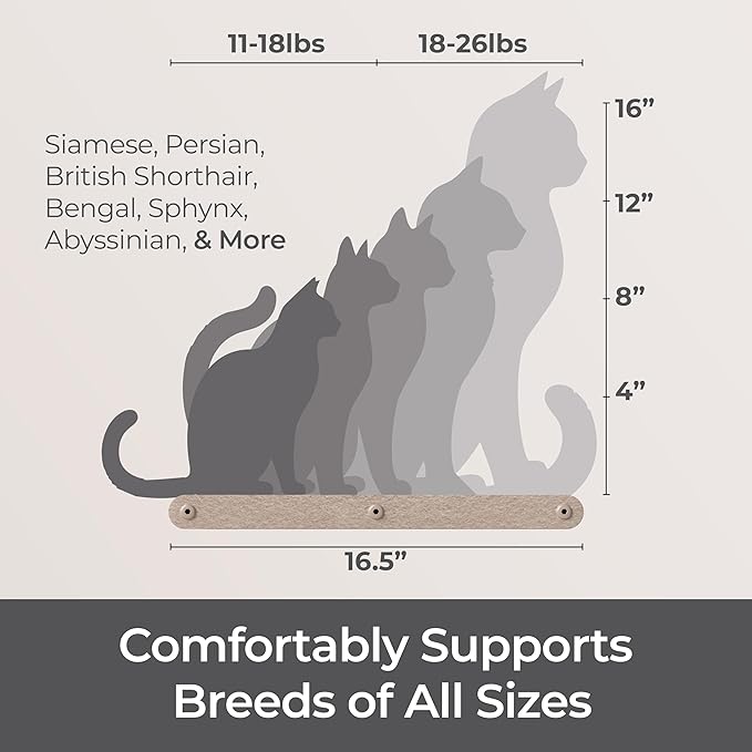 Cat Wall Bed by Pryde Pets, Perch and Cat Shelf for Wall - 100% PET Felt, Sustainable - Modular Floating Shelf for Cats, Indoor/Outdoor Cat Furniture (Oatmeal)