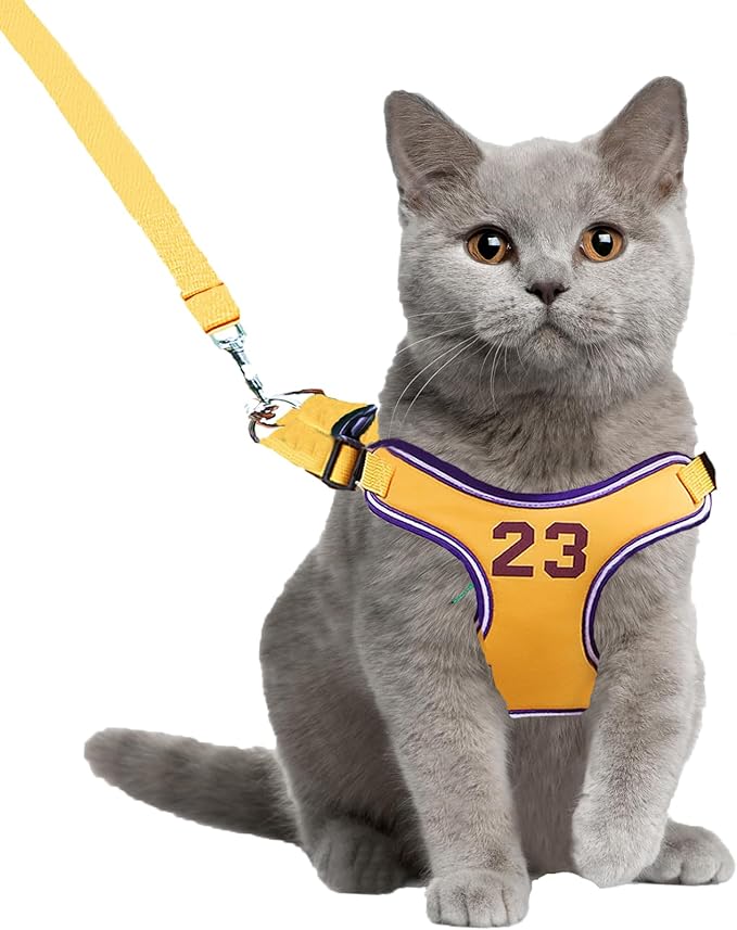 Dog Vest Harness Breathable-Escape Proof Dog Harness -Adjustable Reflective Number Dogs Vest with Outdoor Pet Leash, Easy Control for Small,Medium Breeds (Yellow,M)