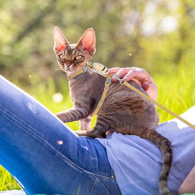 TIESOME Cat Harness and Leash Set, Adjustable Gradient Kitten Harness Escape Proof Harness with Leash for Kitty Outdoor Walking (Vanilla Yellow)