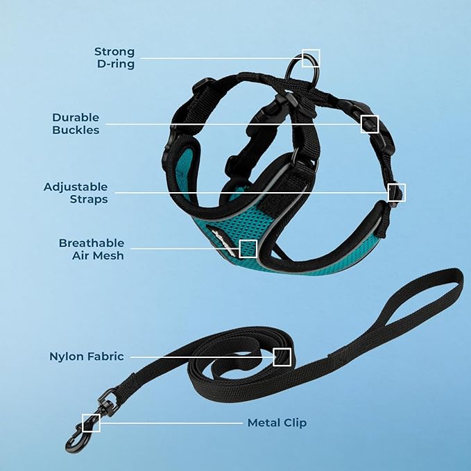 Voyager Escape Proof Cat Harness and Leash Set with Reflective Stitching, Neoprene Handle 5ft - Supports Small, Medium and Large Cats, Kittens for Walking by Best Pet Supplies - BT-Turquoise, XXS