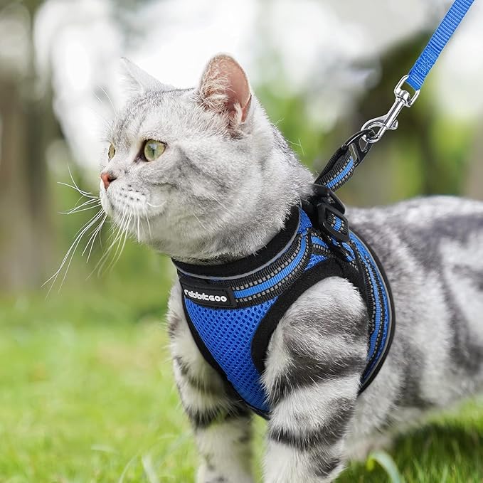 rabbitgoo Cat Harness and Leash Set for Walking Escape Proof, Adjustable Soft Kittens Vest with Reflective Strip for Cats, Comfortable Outdoor Vest, Blue, XL