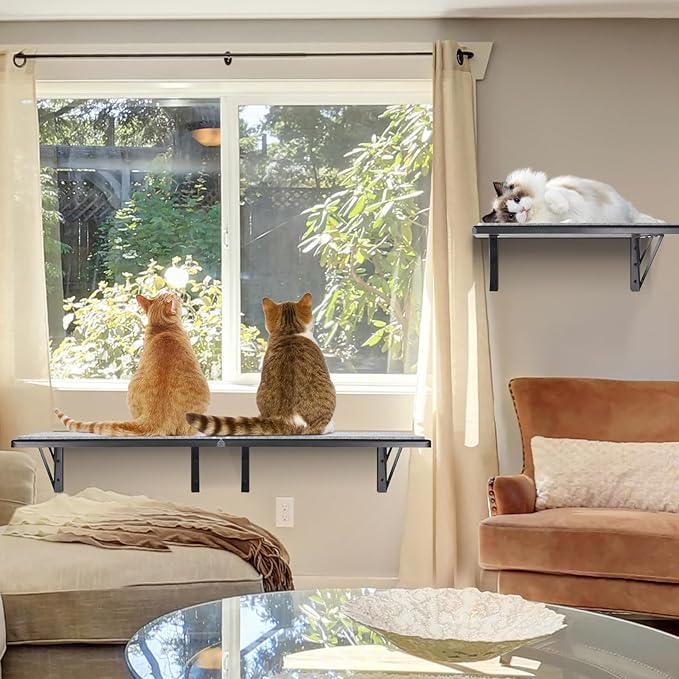 Cat Wall Shelves Set of 4, Wood Cat Shelves for Wall, Cat Wall Bed Hammock with Scratching Pad, Cat Climbing Shelf for Sleeping Playing, Cat Window Perch for Large Cats, Black Cat Furniture for Indoor