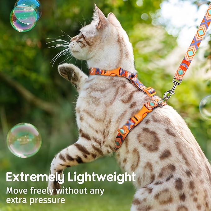 Dooradar Cat Harness and Leash, Escape Proof Adjustable Kitten Vest, Lightweight Soft Pet Straps, Easy Wearing for Small Medium Kitty Safe Walking Travel Control, Orange & Blue, S