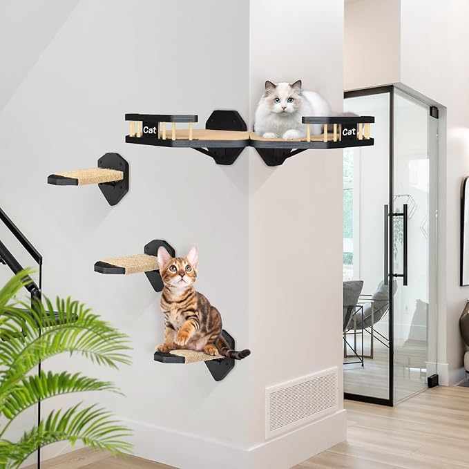 Cat Wall Furniture Wall Mounted, 2PCS Cat Shelves and Cat Perches for Wall with 3 Cat Wall Steps and Scratching Pad, Cat Wall Shelves Fit Cat Up to 15Lbs, Wood Cat Hammock Wall Mount (Black)
