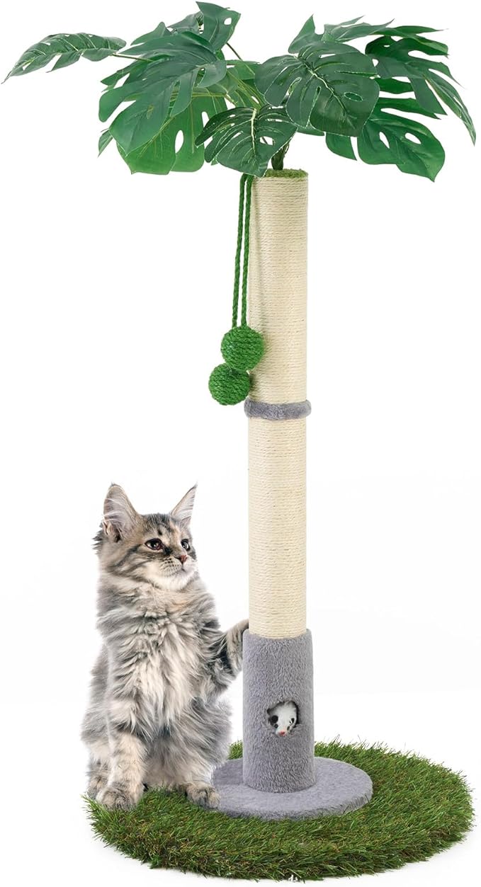Cat Scratching Posts for All Cats with Hanging Ball and Sisal Rope Cat Toy, Simple Design - for Larger Cats - 35.43" Tall,Wooden Palm Tree Premium Basics Cat Toys Kitten（Grey