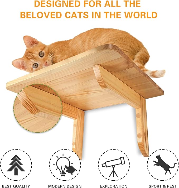 Molly & Nemo Cat Wall Hammock,Cat Wall Shelves with 2 Steps,Wood Cat Perch,Cat Wall Furniture ,Modern Cat Bed for Large Cats or Kitty