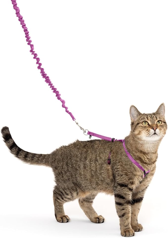 PetSafe Come with Me Kitty Harness and Bungee Leash, Small, Dusty Rose